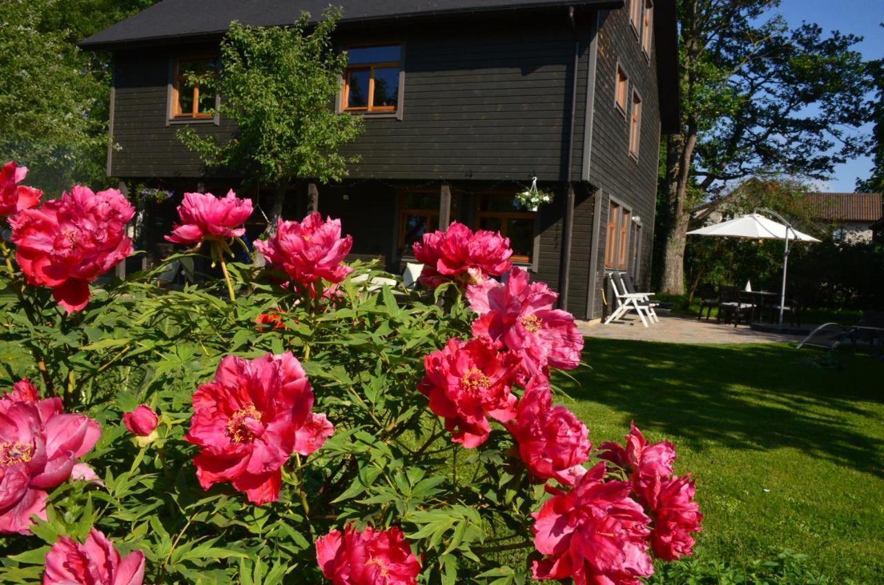 Pilava Hotel Roja Buitenkant foto